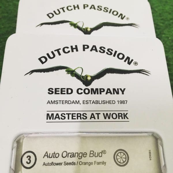 Dutch_passion